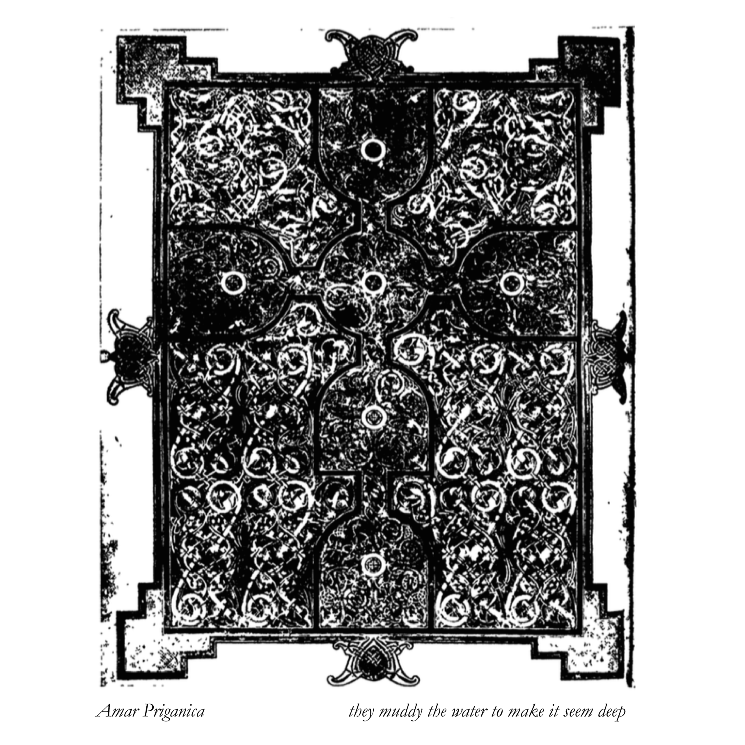 Amar Priganica Cover